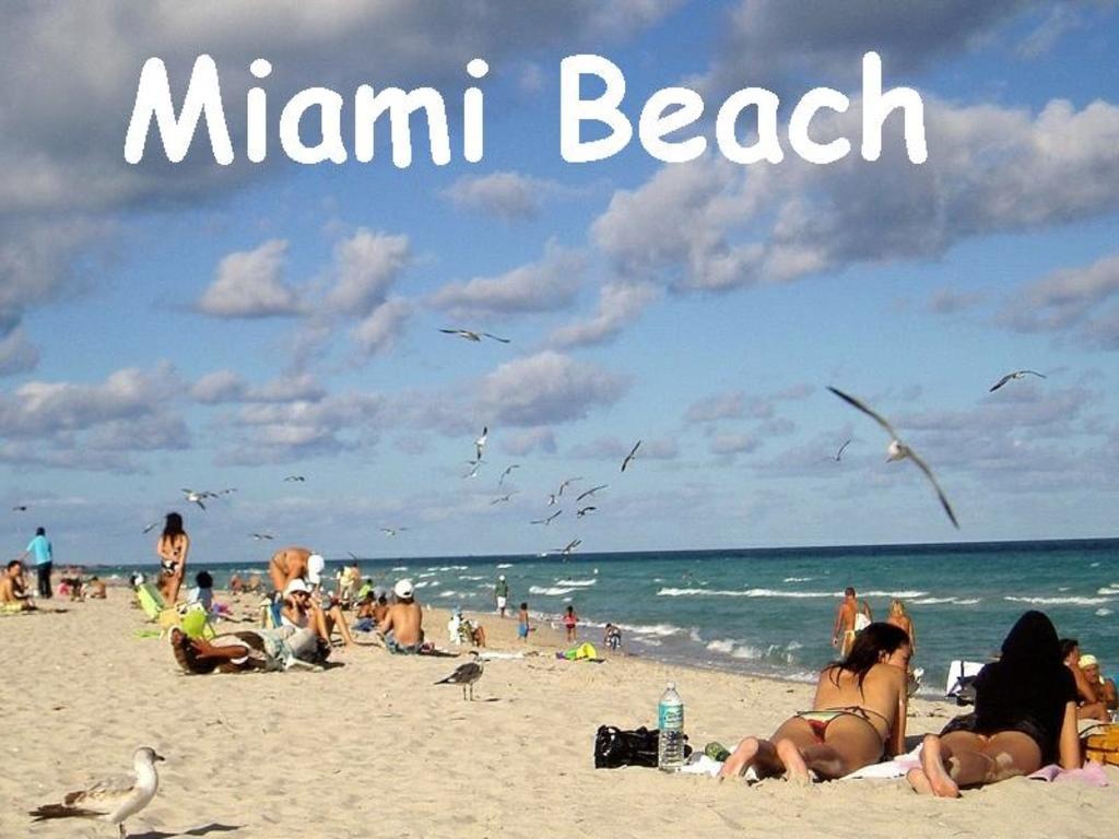 Bikini Lodge (Adults Only) Miami Beach Room photo